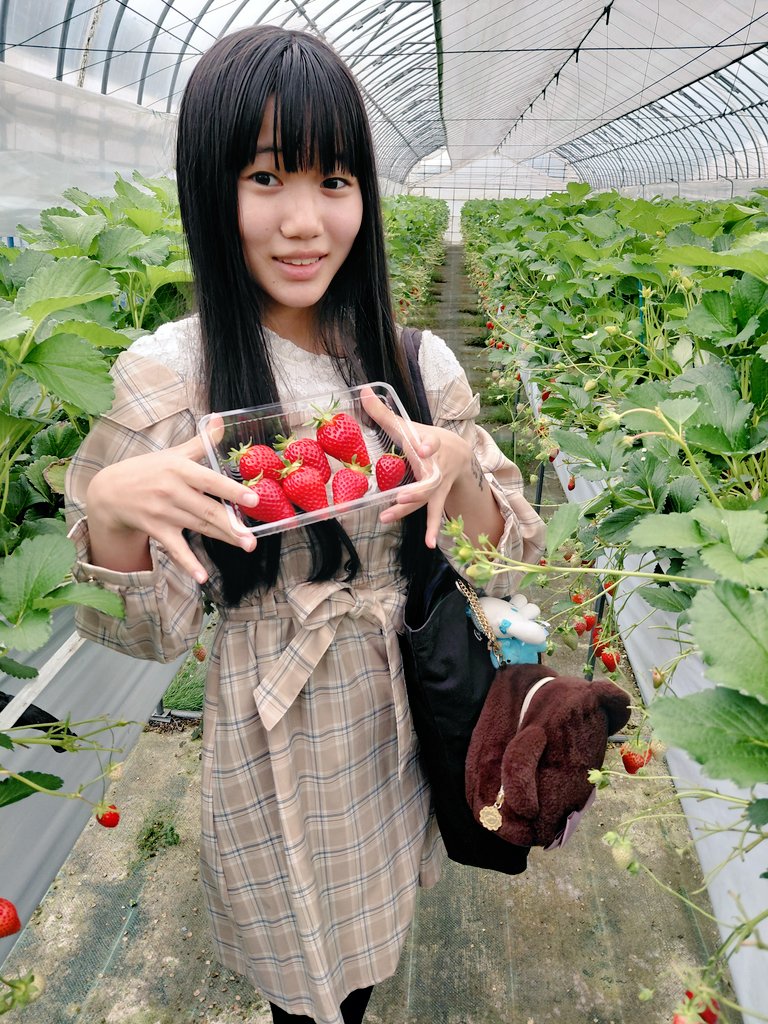 玉響月菟 結梨 tweet media