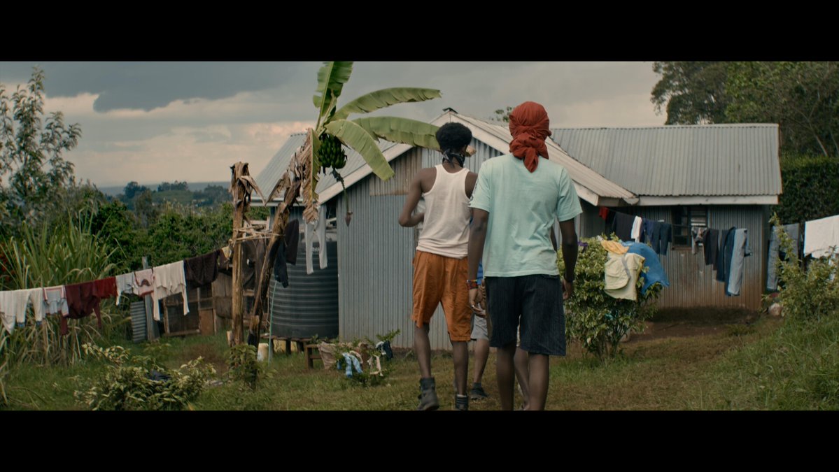 AestheticaFilmFest tweet media