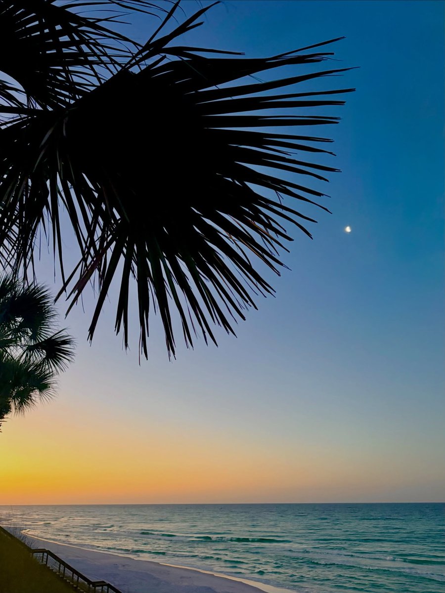 South Walton tweet media