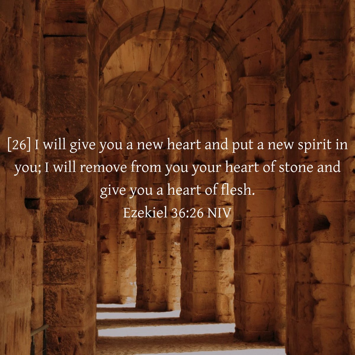John the Apostle tweet media