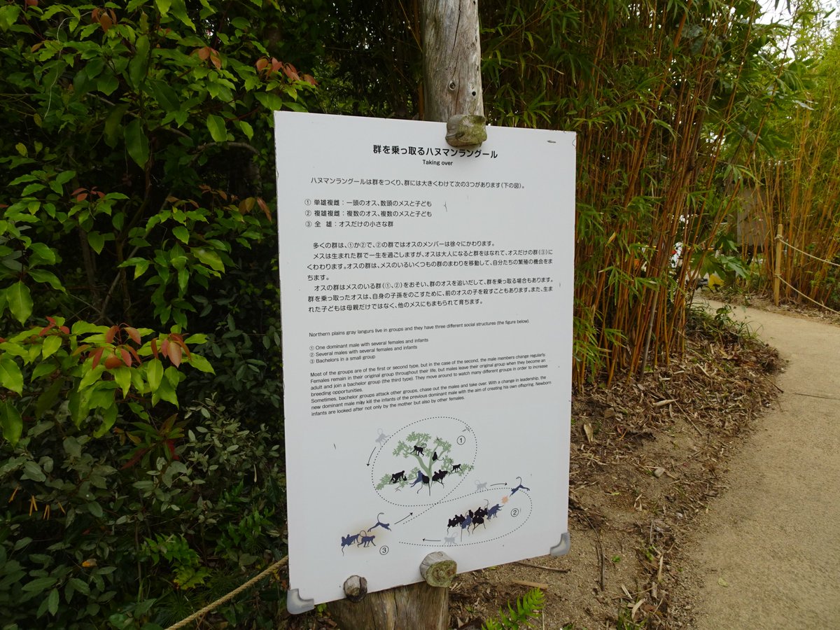 ずけもの tweet media