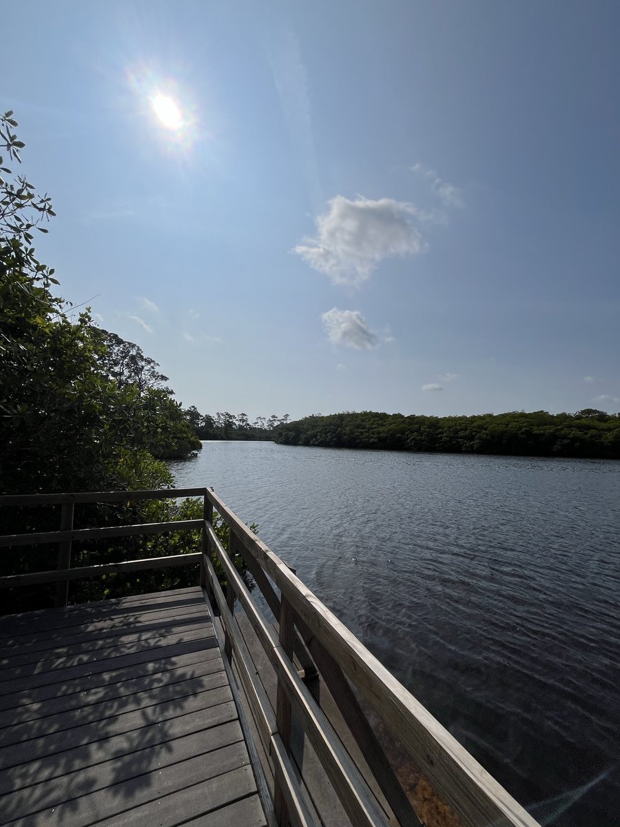 leonardkl's tweet image. On every work trip I make a stop at a state park to clear my head and enjoy nature. Do yourselves a favor and get a #Florida state park pass. At Dickinson today.