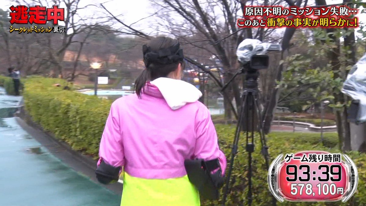 とろ◢₄₆ tweet media