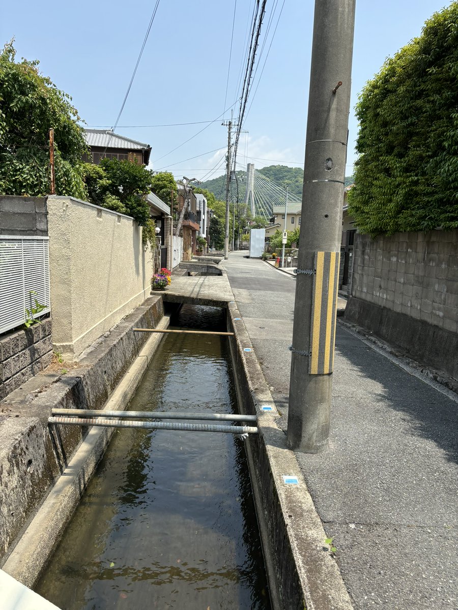 今井あつし tweet media