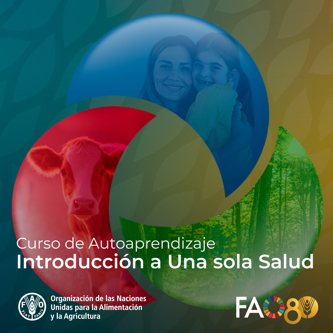FAO Campus - America Latina y el Caribe tweet media
