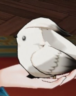 ADHDiluc_'s tweet photo. @laumatimely very obvious elephant in the room aside i really am a HUGE fan of the bird shes holding its SO FAT https://t.co/x79gX611dK