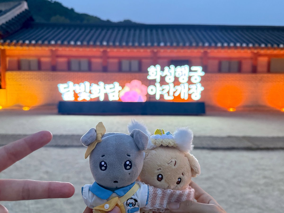 도도 ૮ .• ﻌ • ა 울보1 🐾 tweet media