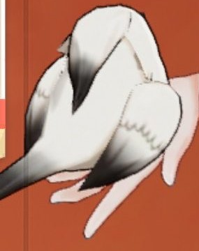 ADHDiluc_'s tweet photo. @laumatimely very obvious elephant in the room aside i really am a HUGE fan of the bird shes holding its SO FAT https://t.co/x79gX611dK