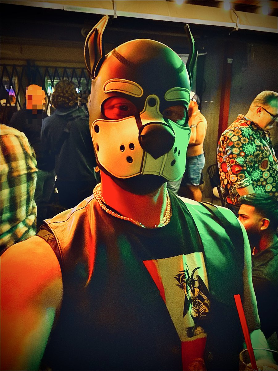 Pup Gymothy tweet media