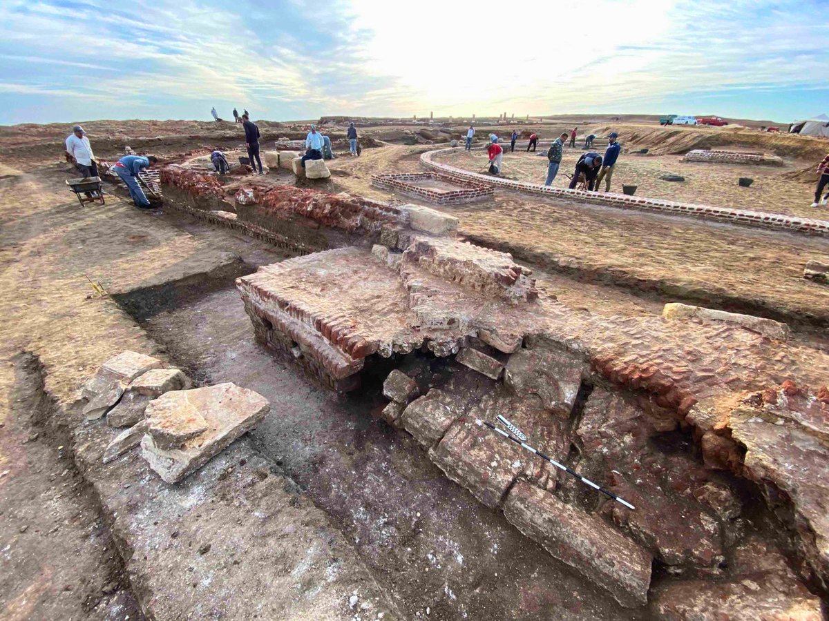Madam Archaeologist tweet media
