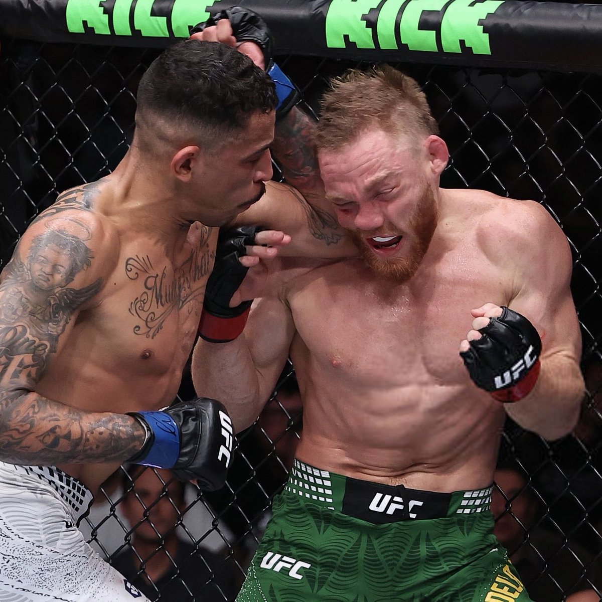 JackHatesMMA tweet media