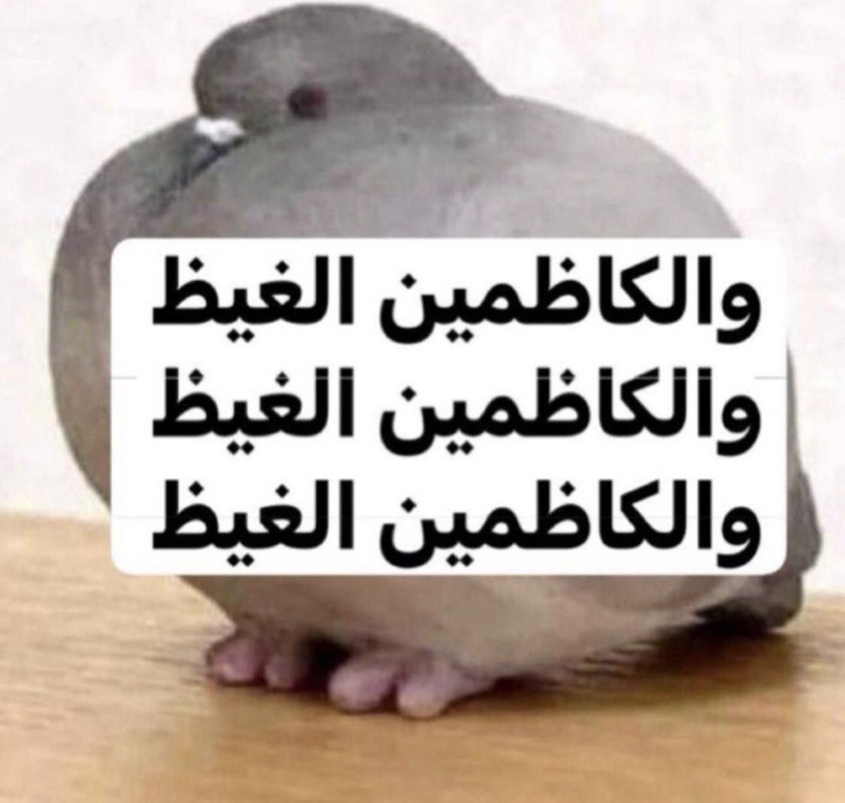 هواجيس tweet media