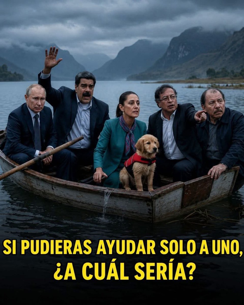 Citlali CarvajaI tweet media
