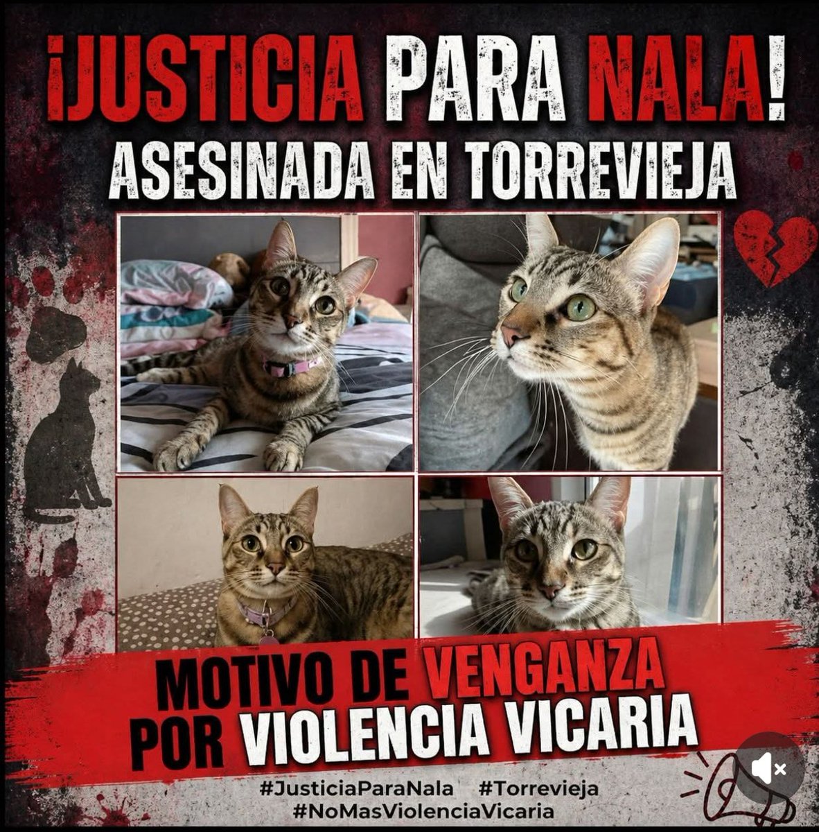 Feralorihuela tweet media