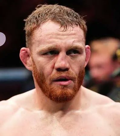 The Fight Fanatic tweet media