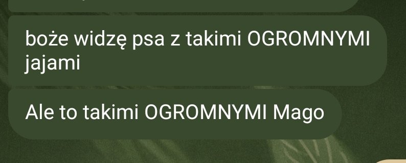 mago ִֶָ 🌿ᅠ tweet media