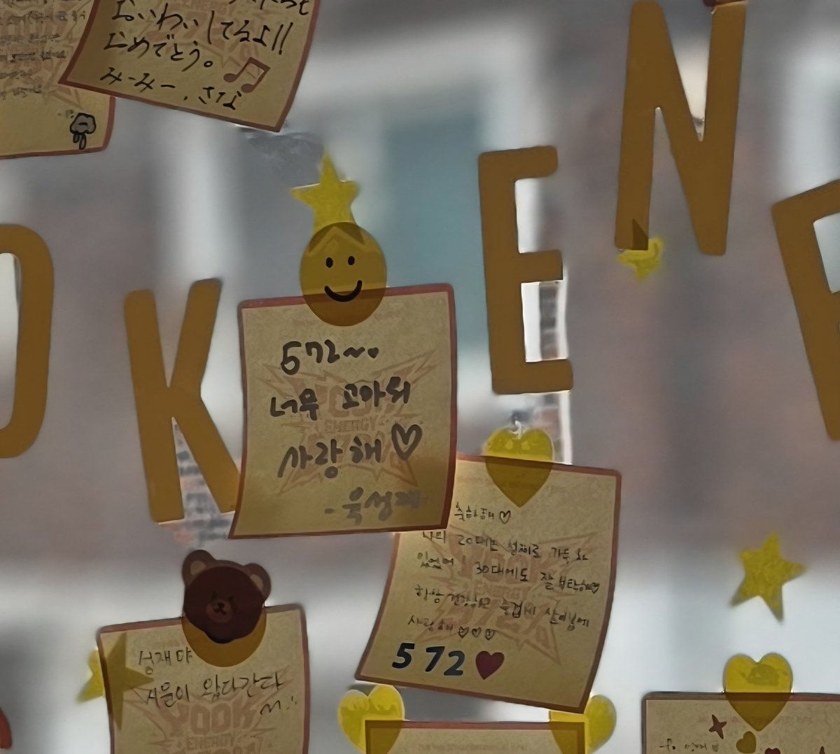 햇냥이광🐱(냥냥이광) tweet media