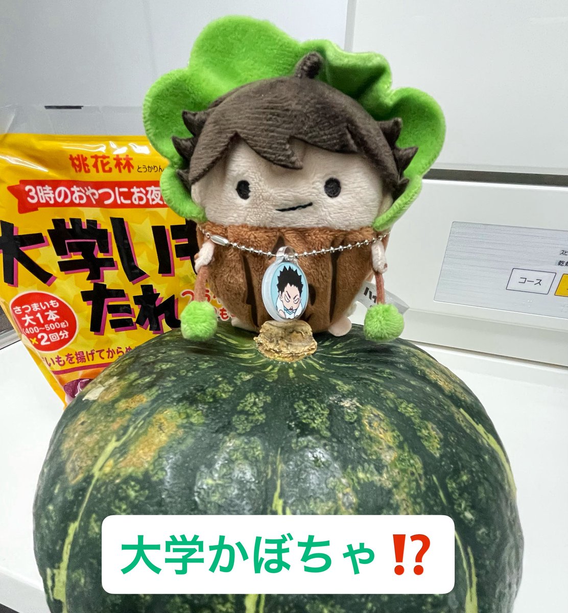 Mちゃん tweet media