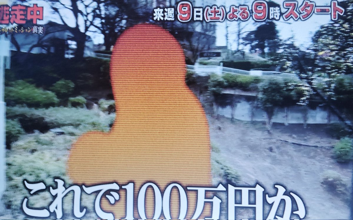 津 tweet media