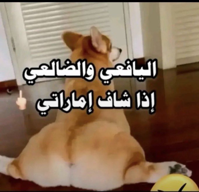 محمد الوليدي tweet media