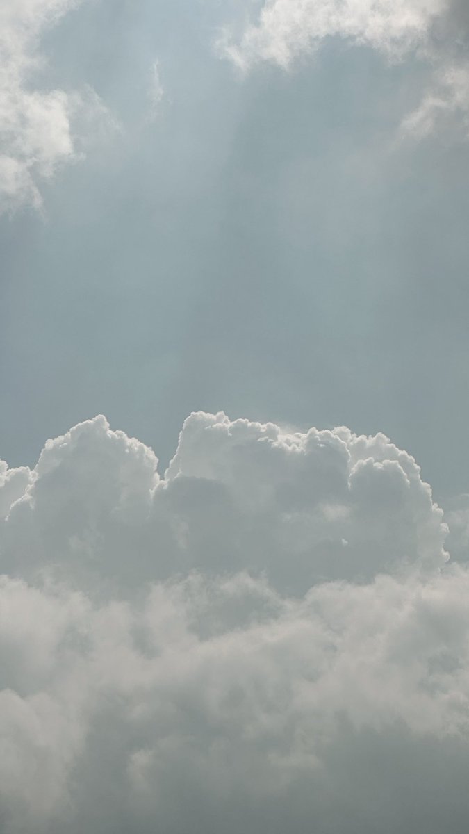โยคาพรามูลา tweet media