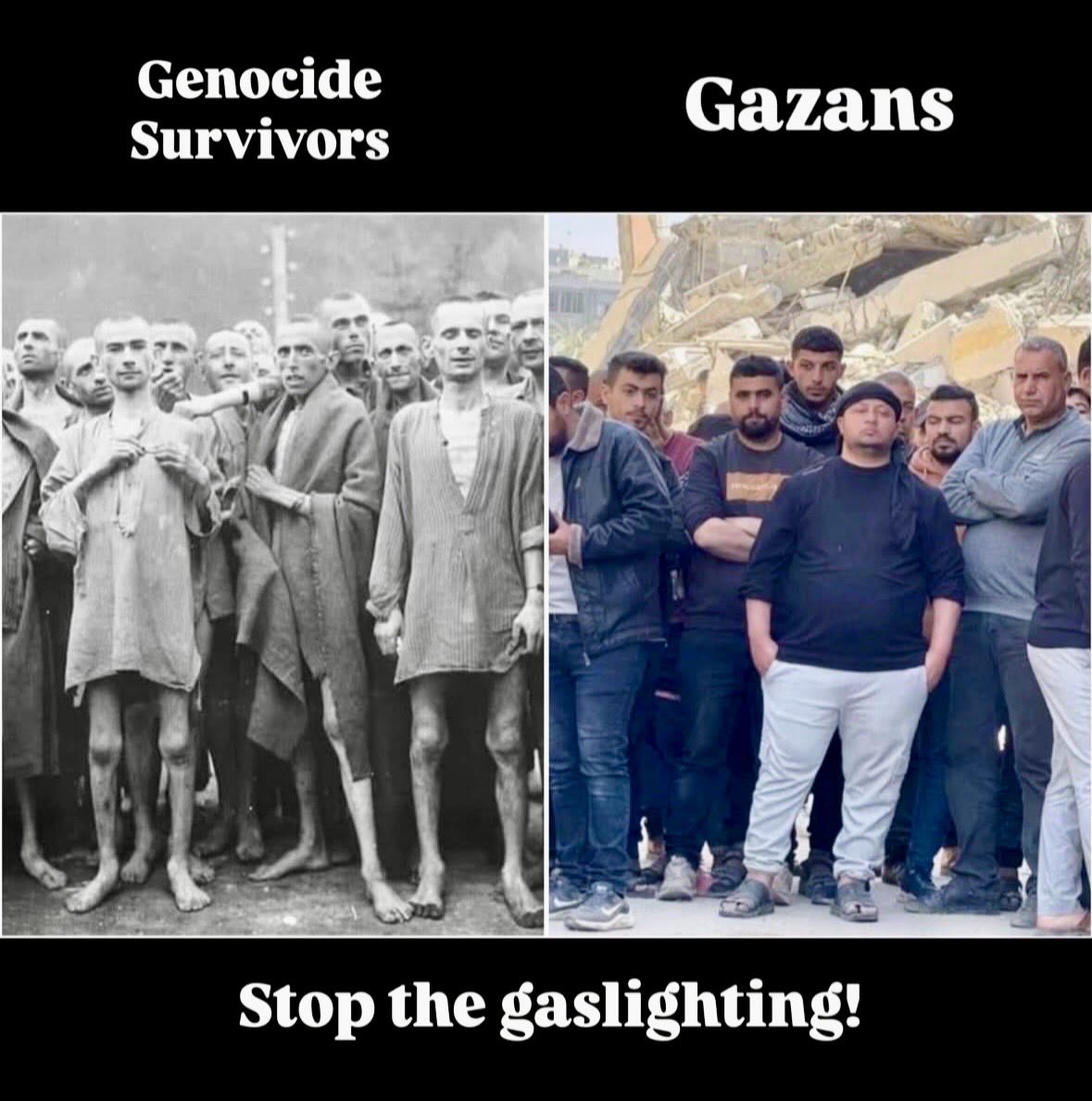 Malka2929's tweet photo. @VividProwess @SonofLiberty357 .🆘Very true❗️
The narrative of pro-Pal #Falestin supporters & governments, media et al is a concoction of #gaslighting, #BloodLibels & #hoax.
#Hamas, #PIJ Gazans are terrorists who committed #genocide in Israel at a music festival & kibutzim.
#pay4slay
#FreeIsrael
#Israele https://t.co/yrg0vw5n2J
