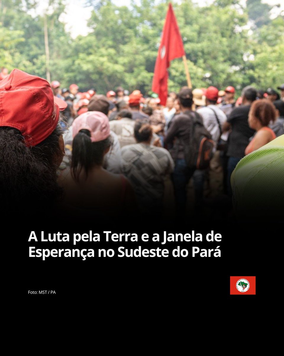 MST Oficial tweet media