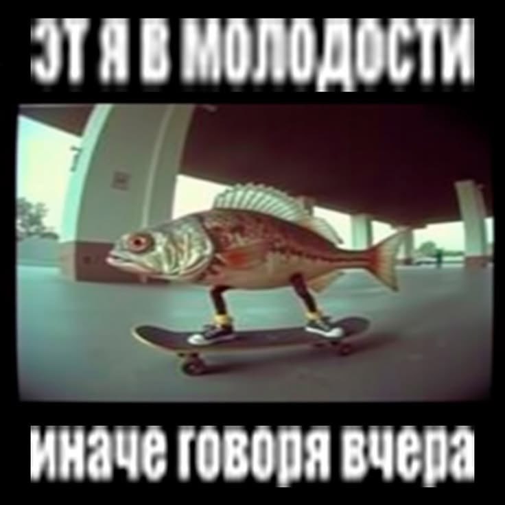 скореебыутро tweet media