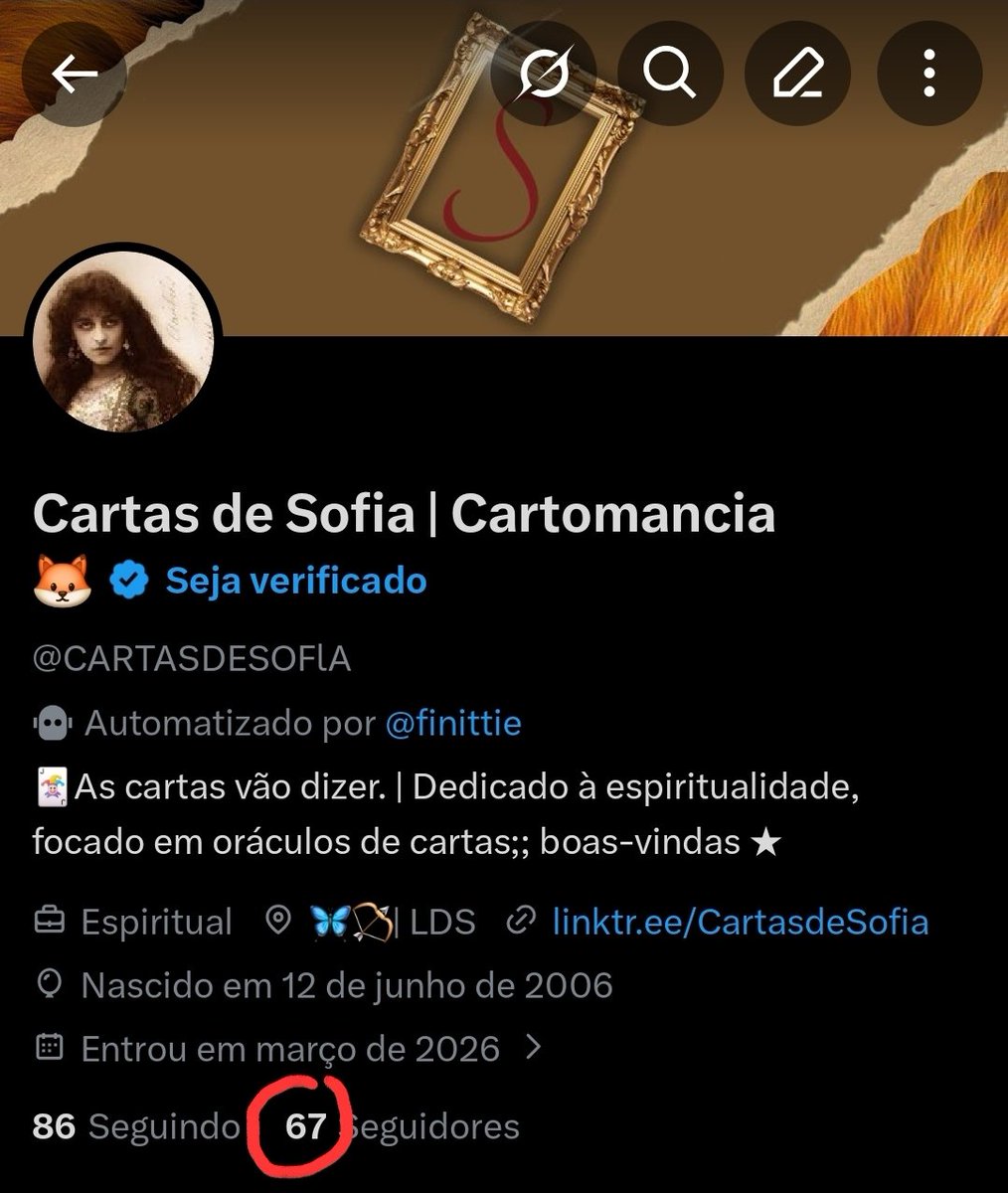 Cartas de Sofia | Cartomancia 🦊 tweet media