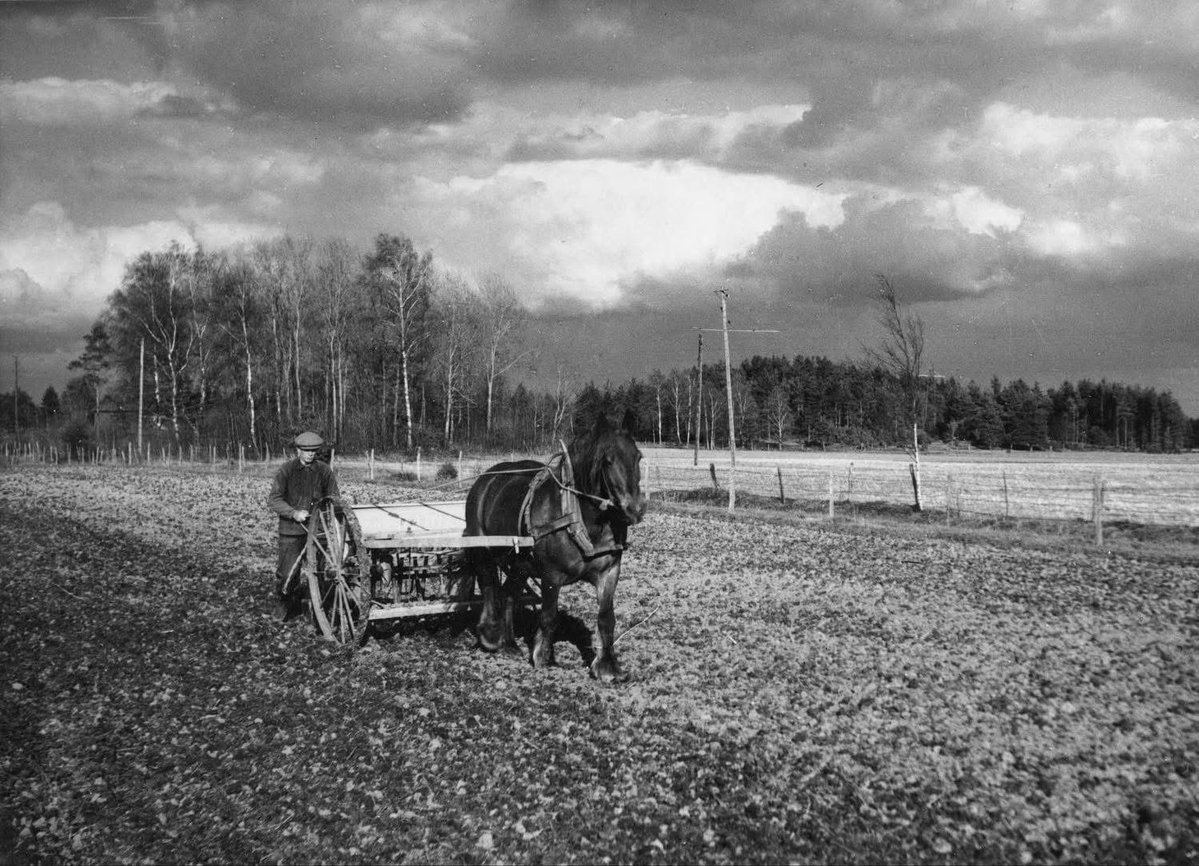 GimleK's tweet image. TRADITION OCH FOLKTRO OM VÅRBRUKET 

När våren kom inleddes en av de mest intensiva arbetsperioderna i allmogesamhället. 

Landsbygdens folk var beroende av vad jorden gav och skördarna var avgörande för om livet blev gott eller knapert. Att lyckas med plöjning och sådd var