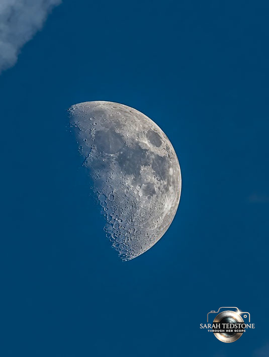 ThroughHerScope's tweet image. Hanging there in broad daylight like it doesn’t care who sees it. 🌓 

#Lancashire #Photography #Nature