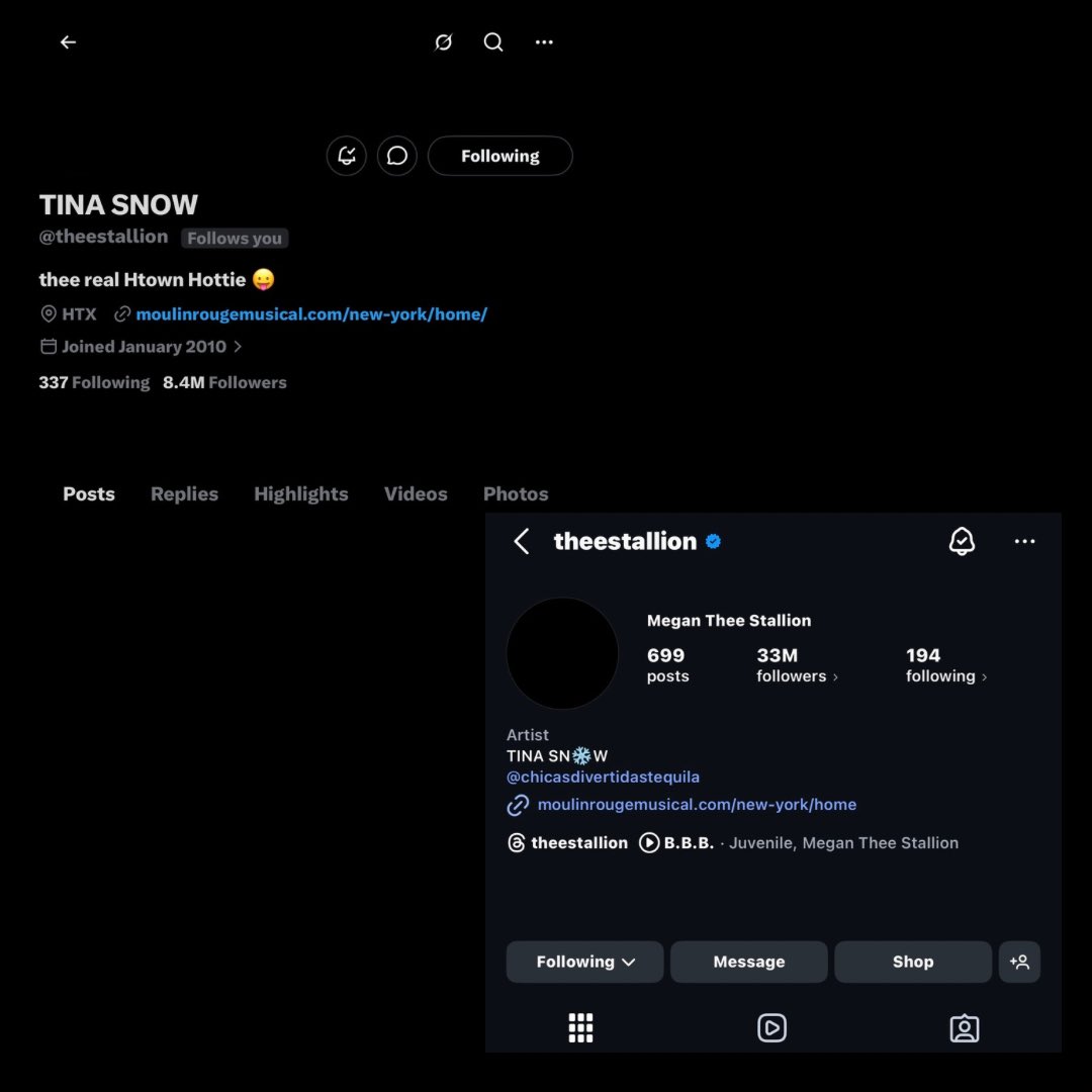 Stallion Hub tweet media