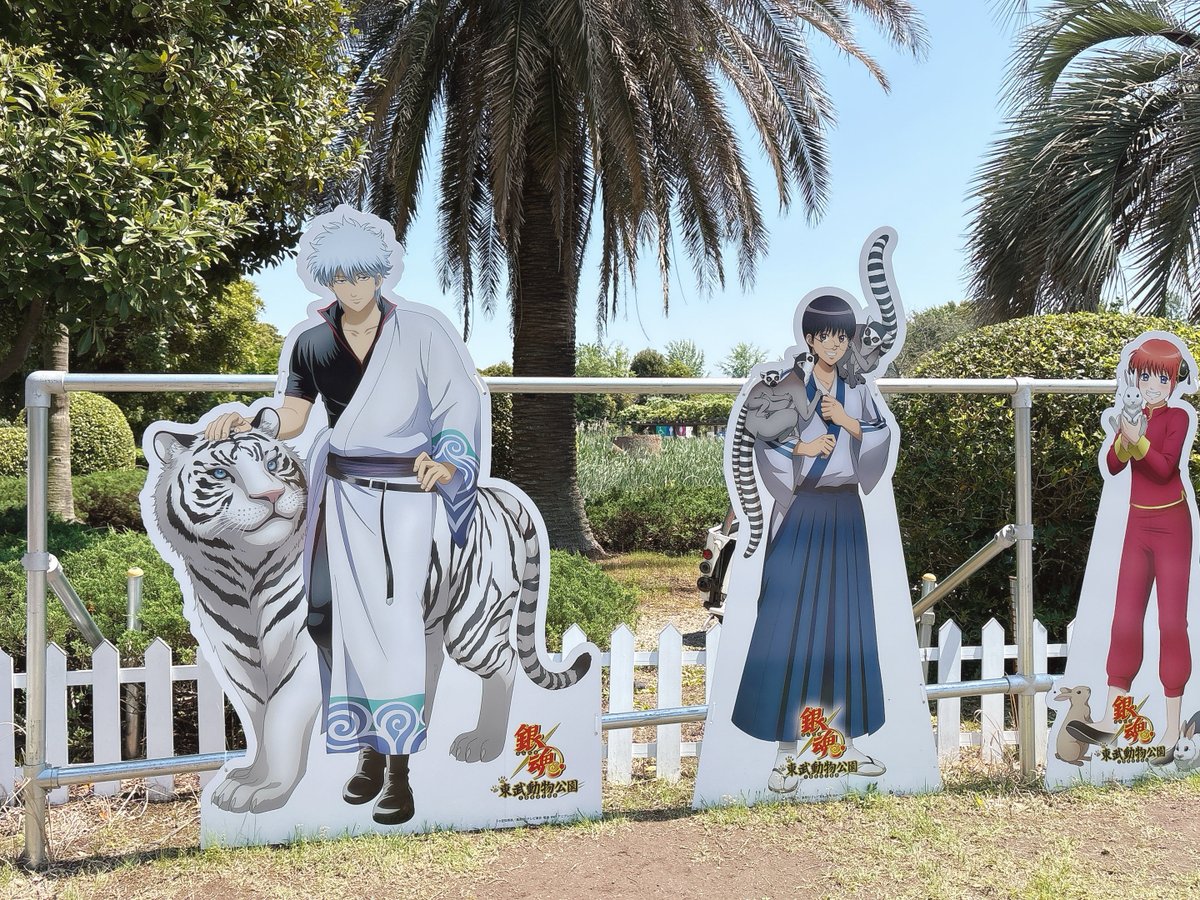シルク tweet media