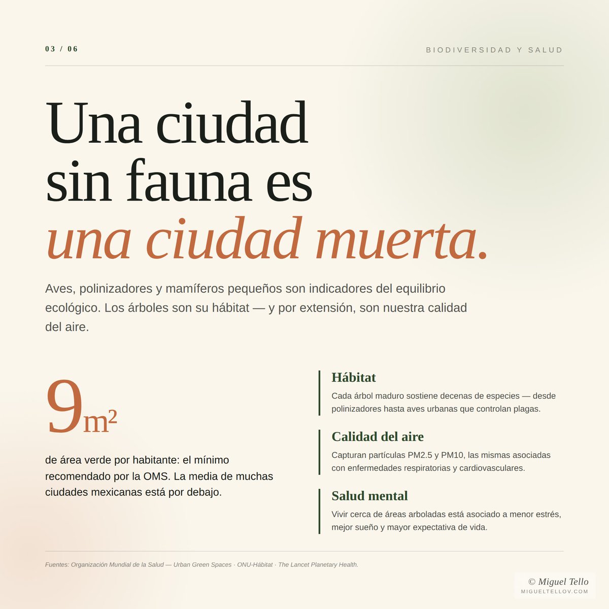 Miguel Angel Tello tweet media