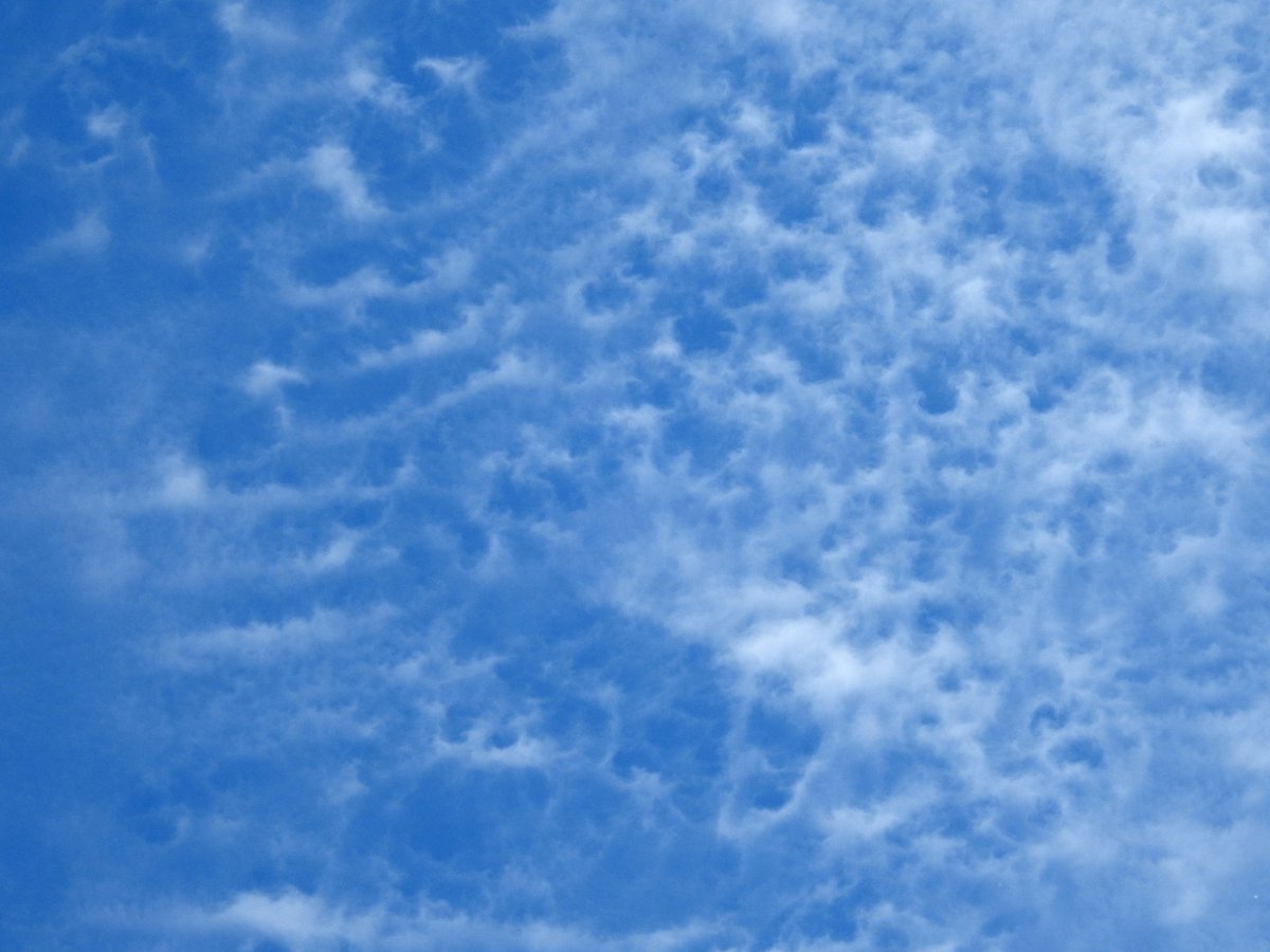 mildthing99's tweet photo. Weather breakdown...
A beautiful passage of #CirrocumulusLacunosus #Cirrocumulus
#AltocumulusFloccus on leading edge of an #OccludedFront moving N full of Biscay moisture @CloudAppSoc @StormHour @metoffice @ThePhotoHour #StormHour #loveukweather https://t.co/pmn9mQWxl6