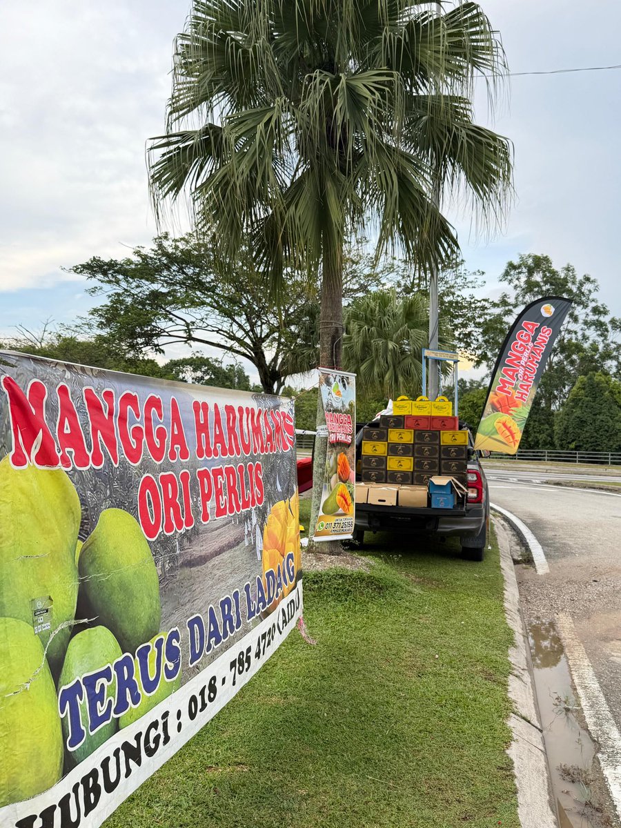 aidil_akmal97's tweet photo. Hi guys, kakak dan adik saya ada jual mangga harum manis ready stok dekat depan petronas Bukit Jelutong Shah Alam. Kepada orang Lembah Klang yang nak cari harum manis ready stok, boleh kesana okie. Tolong share repost tweet ni yaa. Makasih 

Boleh whatsapp +60 11-3712 5156 Ammar https://t.co/tEFcooILHb