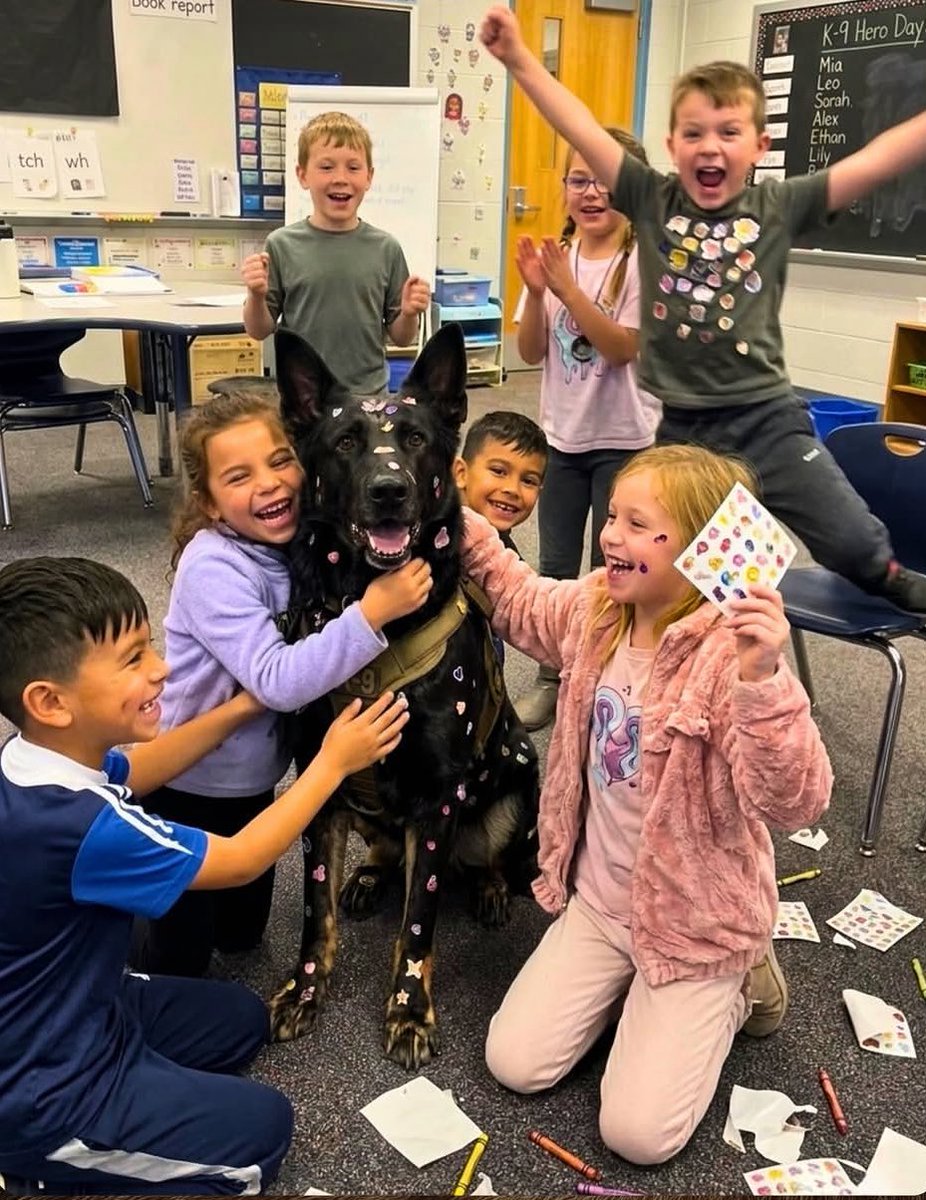 Puppies 🐶 tweet media