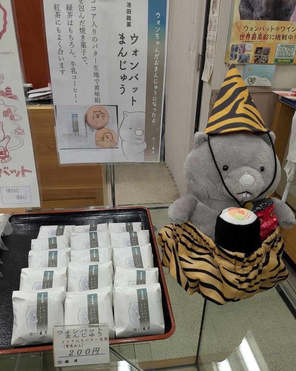 あにも工房 tweet media