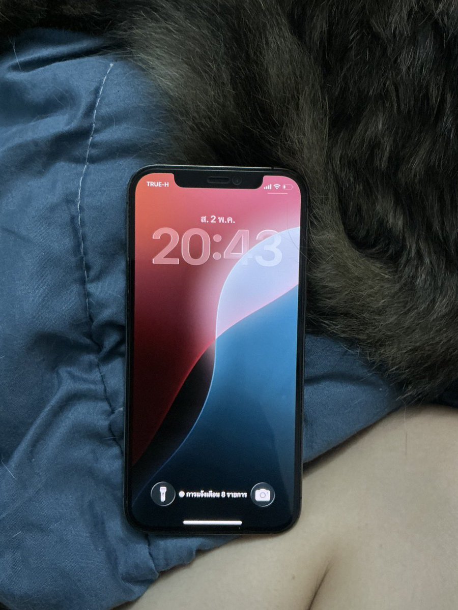 🦕ritayarkmeetung tweet media