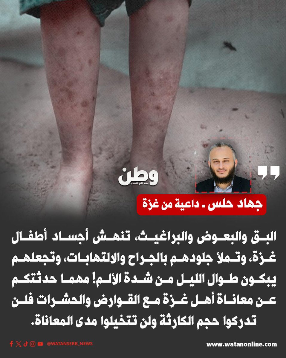 وطن. يغرد خارج السرب tweet media