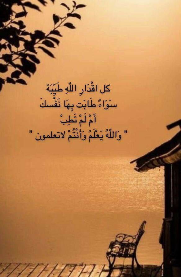 ּا̍حۡــمۘــد tweet media