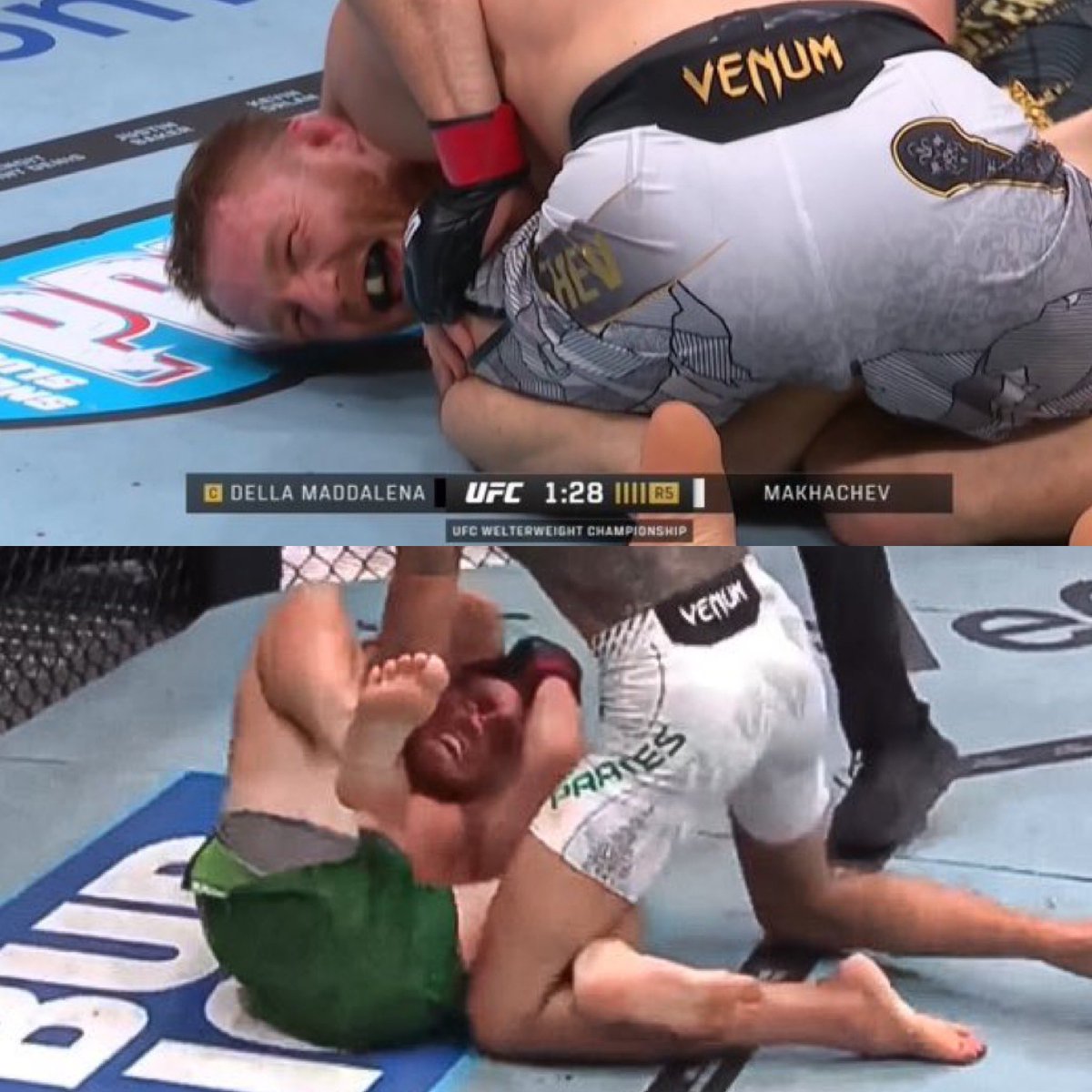 Jack Della Maddalena

Enfrenta o campeão da categoria que é especialista em wrestling

Defende um total de 0 quedas

Em seguida vai enfrentar um especialista no Muay Thai

Toma todas as joelhadas na cabeça, cotovelas e chutes na perna possíveis 

Esse apanha por amor ao jogo