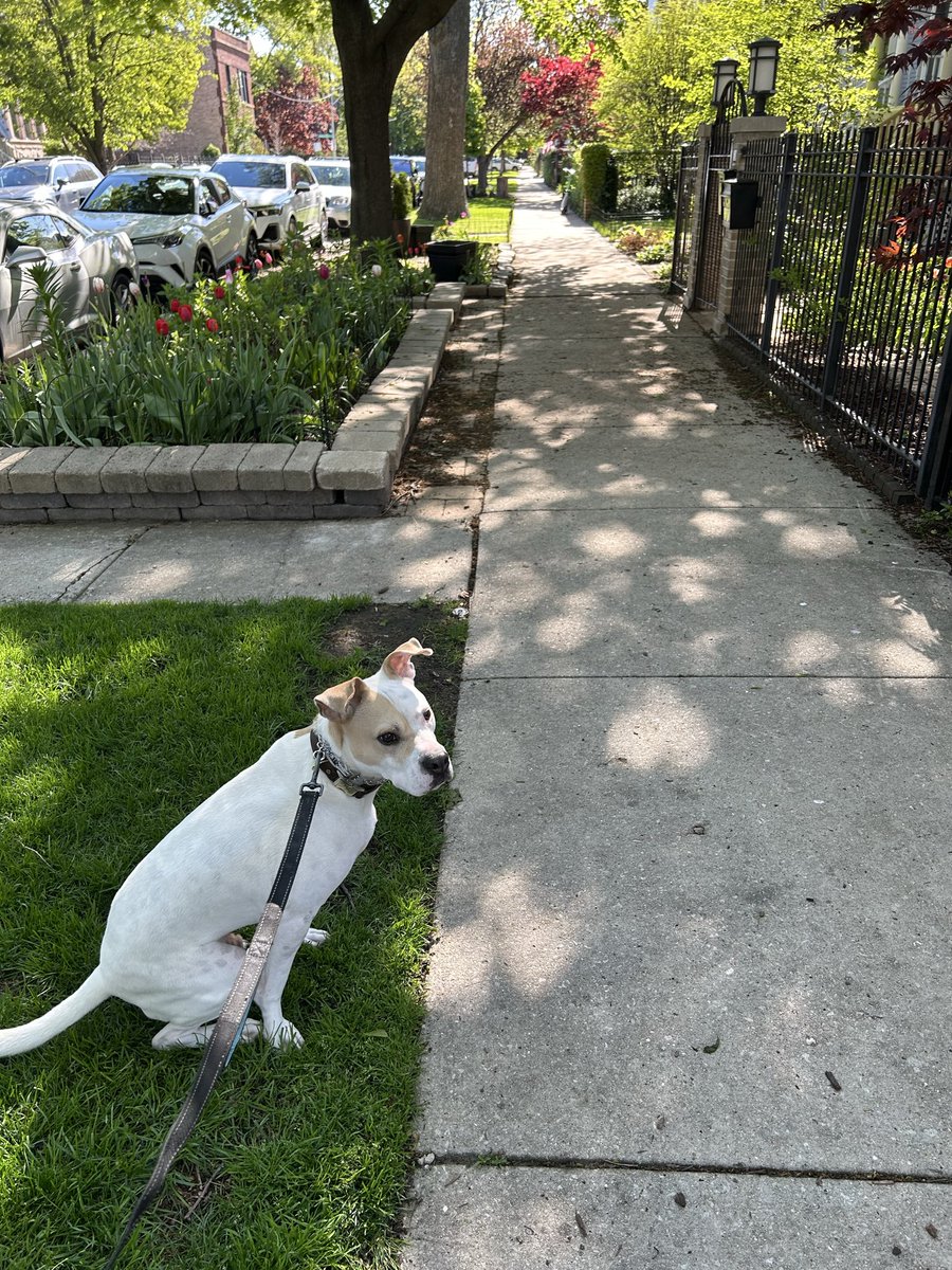 Squirrel?!