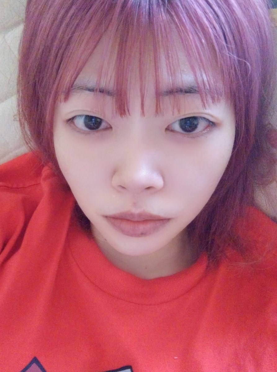 NIINA (合同会社伯虎座社長) tweet media