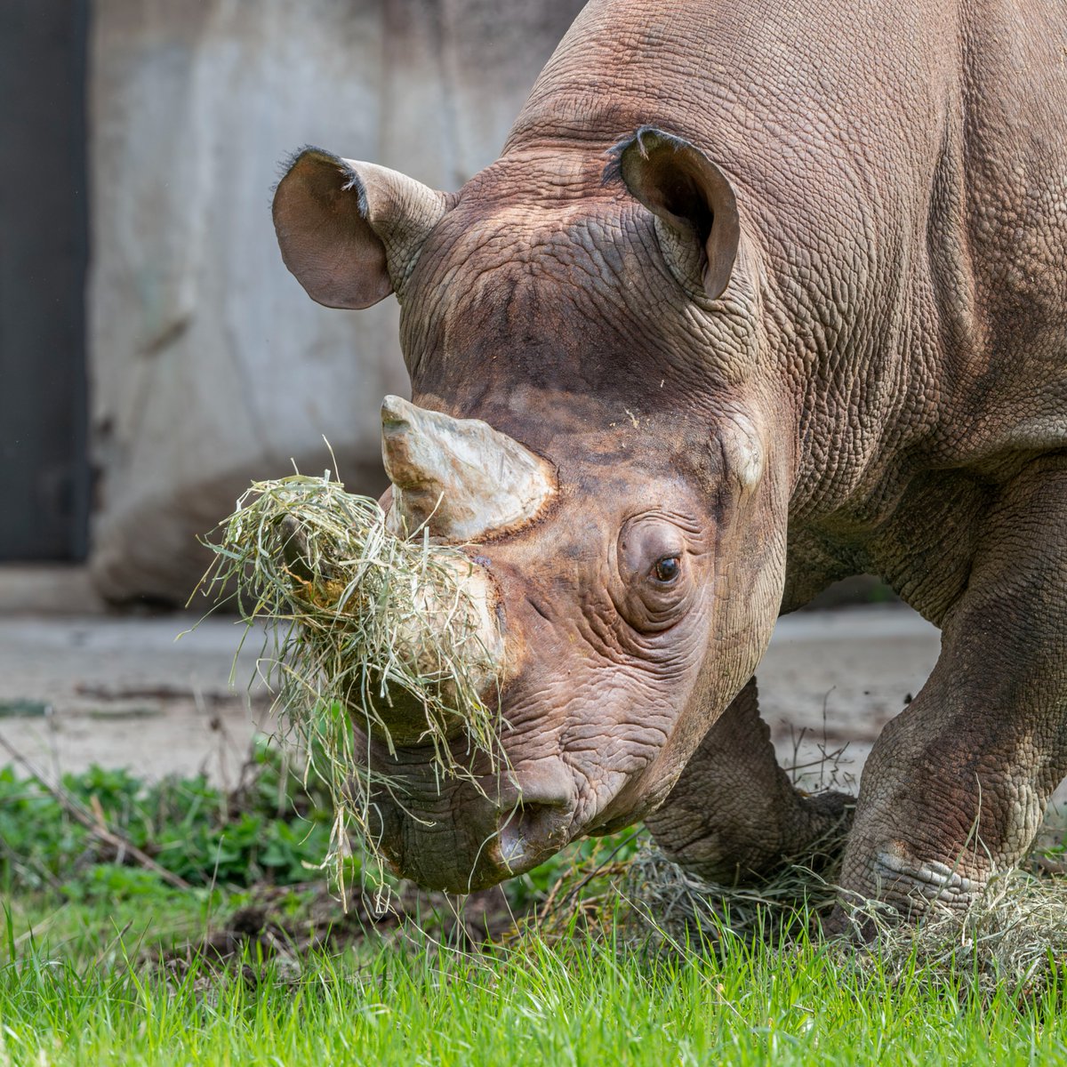 Milwaukee County Zoo tweet media