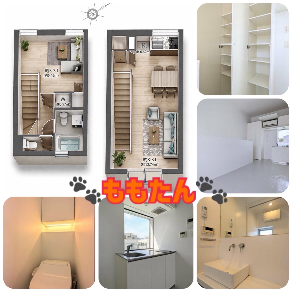 🐾🏡ももたん不動産🏡🐾 tweet media