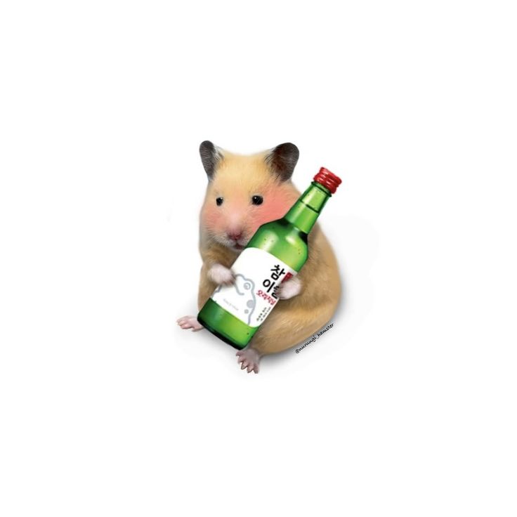Tweets Of Hamster (@tweetsofhamster) on Twitter photo 