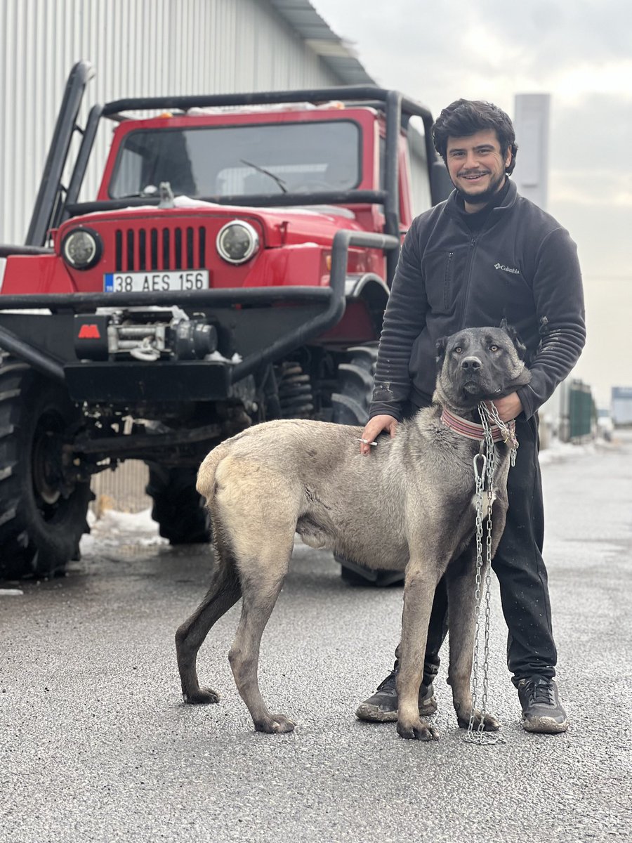 Yasar Aktepe tweet media