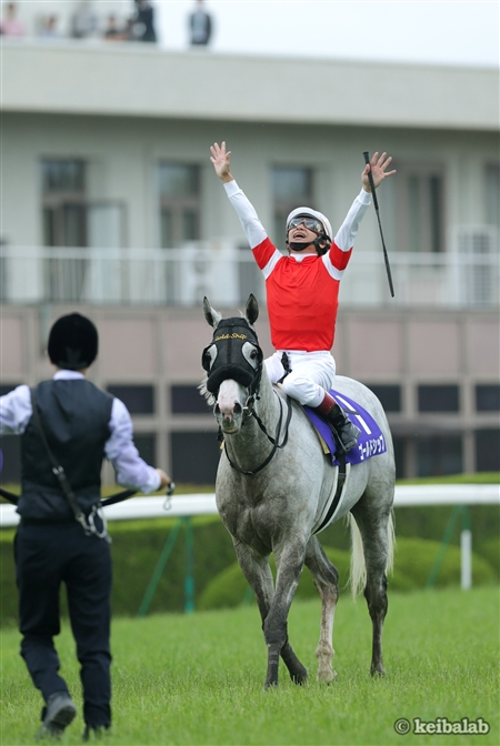 競馬ラボ tweet media