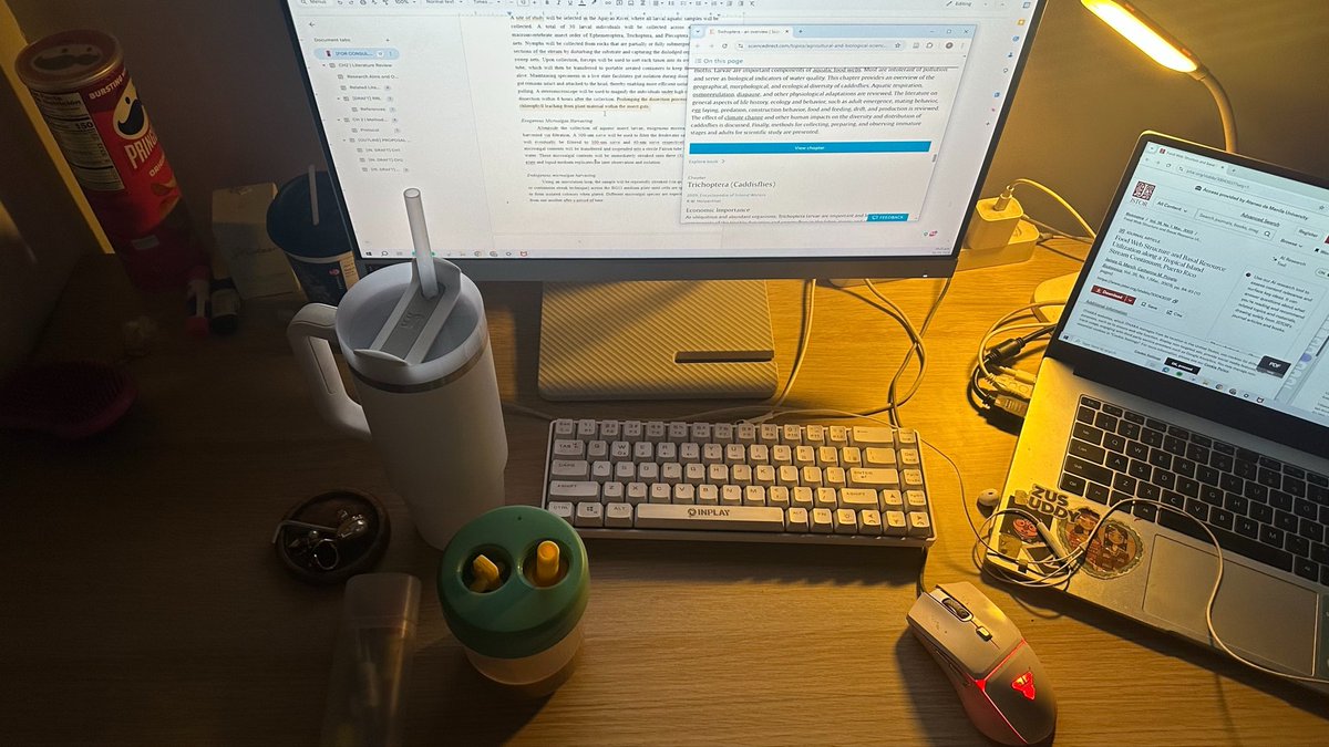 _nyulife's tweet photo. 🌃👩‍💻 https://t.co/6fls8Q3A9C